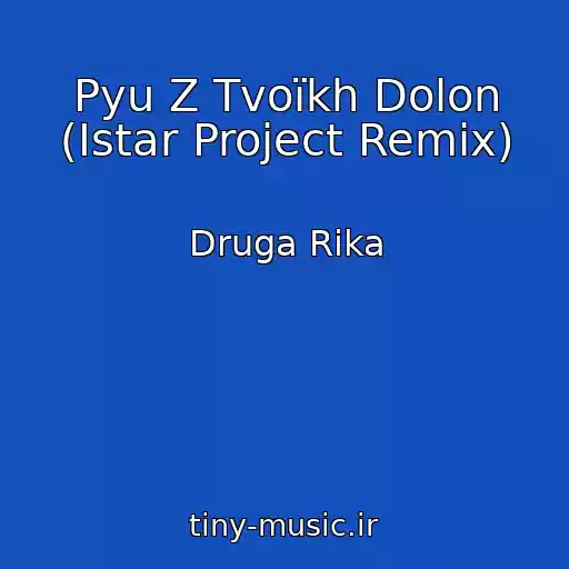 کاور آهنگ Pyu Z Tvoїkh Dolon (Istar Project Remix) از Druga Rіka
