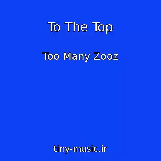 کاور آهنگ To The Top از Too Many Zooz