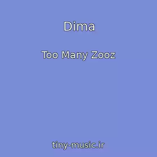 کاور آهنگ Dima از Too Many Zooz