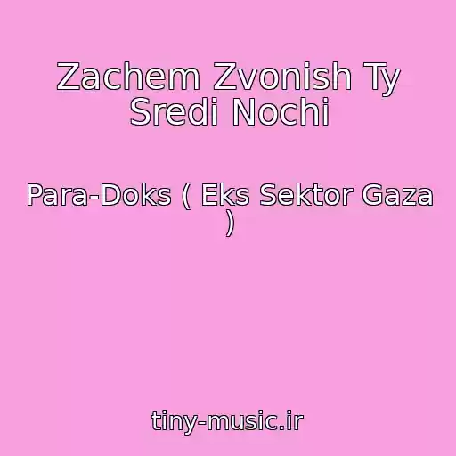 کاور آهنگ Zachem Zvonish Ty Sredi Nochi از Para-Doks ( Eks Sektor Gaza )