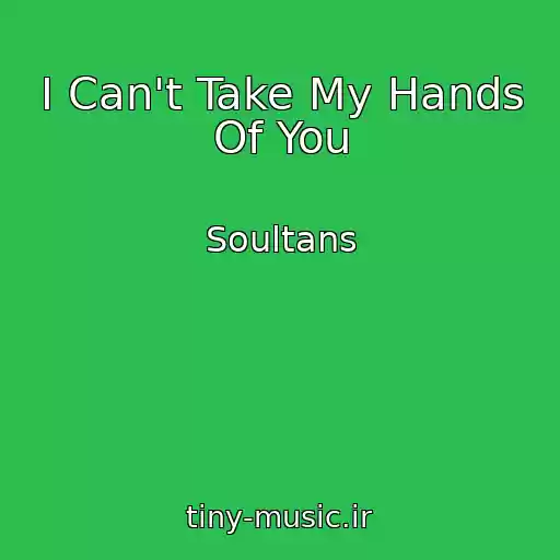 کاور آهنگ I Can't Take My Hands Of You از Soultans