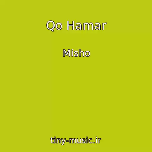کاور آهنگ Qo Hamar از Misho