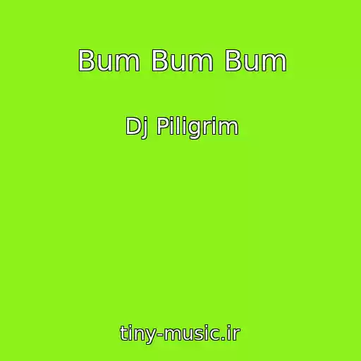کاور آهنگ Bum Bum Bum از Dj Piligrim