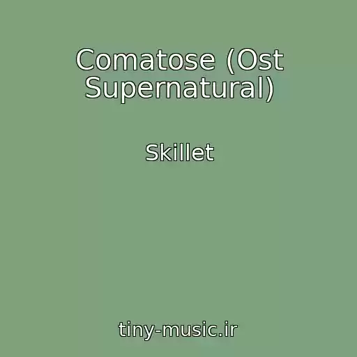 کاور آهنگ Comatose (Ost Supernatural) از Skillet
