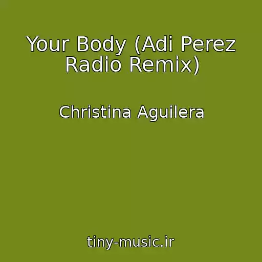 کاور آهنگ Your Body (Adi Perez Radio Remix) از Christina Aguilera