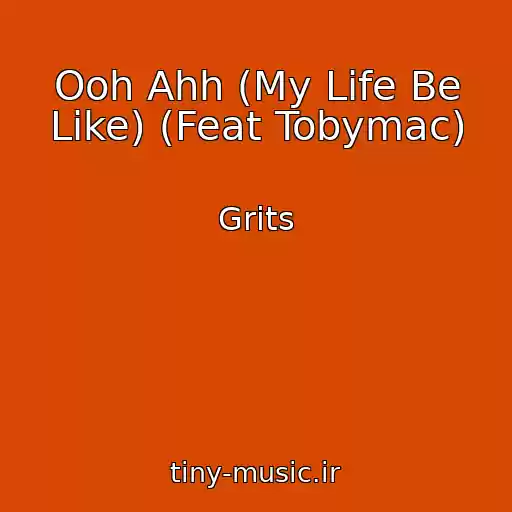 کاور آهنگ Ooh Ahh (My Life Be Like) (Feat Tobymac) از Grits
