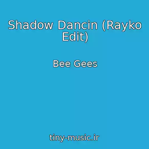 کاور آهنگ Shadow Dancin (Rayko Edit) از Bee Gees