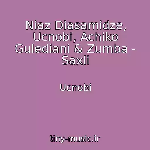 کاور آهنگ Niaz Diasamidze, Ucnobi, Achiko Gulediani & Zumba - Saxli از Ucnobi
