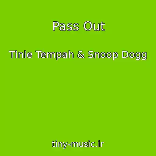 کاور آهنگ Pass Out از Tinie Tempah & Snoop Dogg