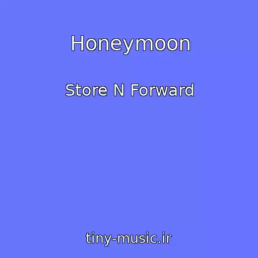 کاور آهنگ Honeymoon از Store N Forward