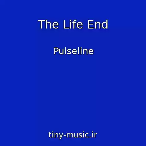 کاور آهنگ The Life End از Pulseline