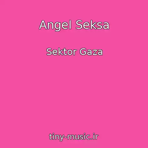 کاور آهنگ Angel Seksa از Sektor Gaza