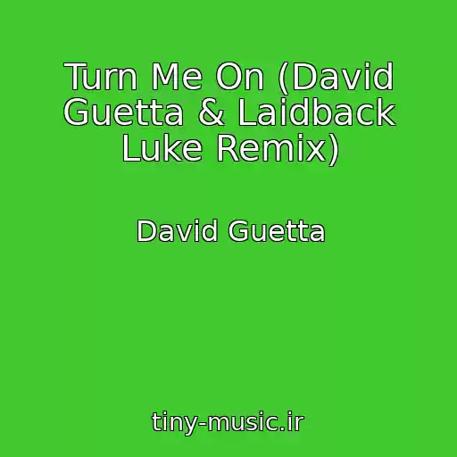 کاور آهنگ Turn Me On (David Guetta & Laidback Luke Remix) از David Guetta