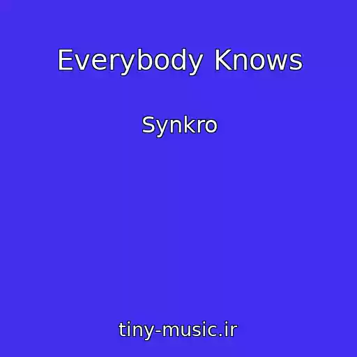 کاور آهنگ Everybody Knows از Synkro