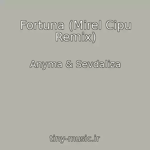 کاور آهنگ Fortuna (Mirel Cipu Remix) از Anyma & Sevdaliza