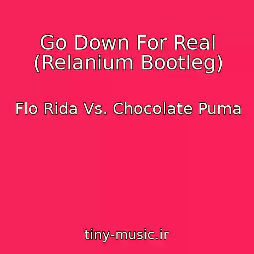 کاور آهنگ Go Down For Real (Relanium Bootleg) از Flo Rida Vs. Chocolate Puma