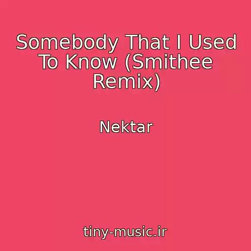 کاور آهنگ Somebody That I Used To Know (Smithee Remix) از Nektar