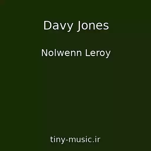 کاور آهنگ Davy Jones از Nolwenn Leroy