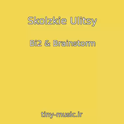 کاور آهنگ Skolzkie Ulitsy از Bi2 & Brainstorm