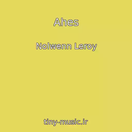 کاور آهنگ Ahes از Nolwenn Leroy