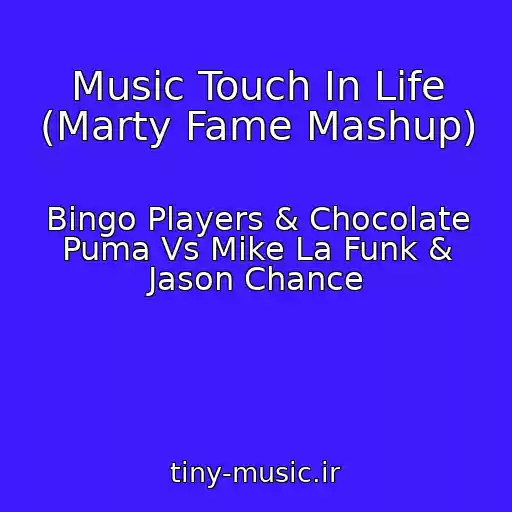 کاور آهنگ Music Touch In Life (Marty Fame Mashup) از Bingo Players & Chocolate Puma Vs Mike La Funk & Jason Chance