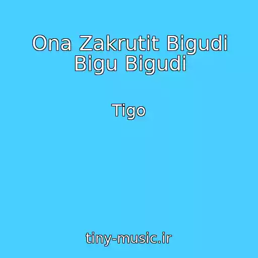 کاور آهنگ Ona Zakrutit Bigudi Bigu Bigudi از Tigo