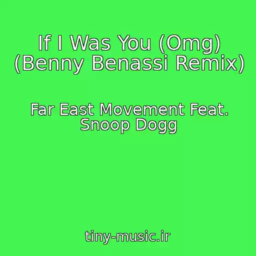 کاور آهنگ If I Was You (Omg) (Benny Benassi Remix) از Far East Movement Feat. Snoop Dogg