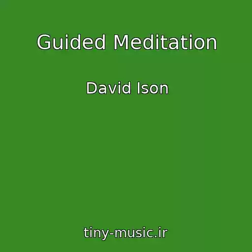 کاور آهنگ Guided Meditation از David Ison
