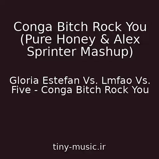 کاور آهنگ Conga Bitch Rock You (Pure Honey & Alex Sprinter Mashup) از Gloria Estefan Vs. Lmfao Vs. Five - Conga Bitch Rock You