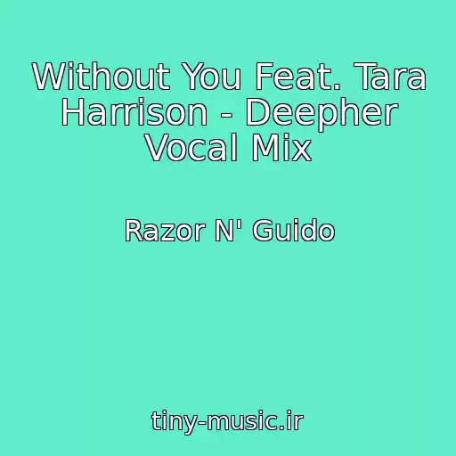 کاور آهنگ Without You Feat. Tara Harrison - Deepher Vocal Mix از Razor N' Guido