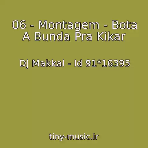 کاور آهنگ 06 - Montagem - Bota A Bunda Pra Kikar از Dj Makkai - Id 91*16395