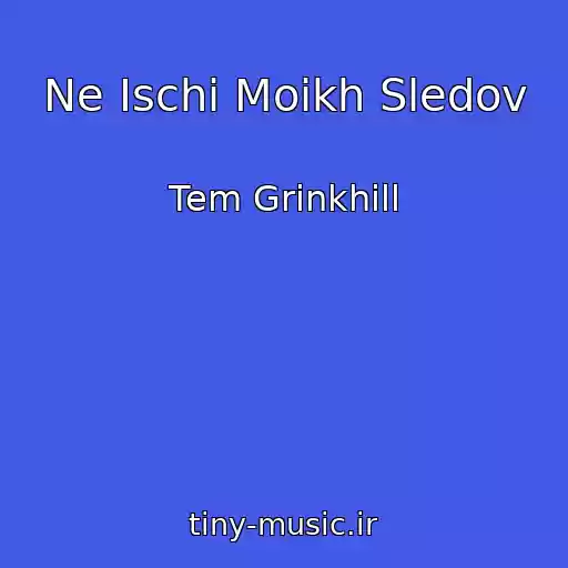 کاور آهنگ Ne Ischi Moikh Sledov از Tem Grinkhill