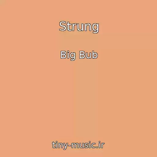 کاور آهنگ Strung از Big Bub