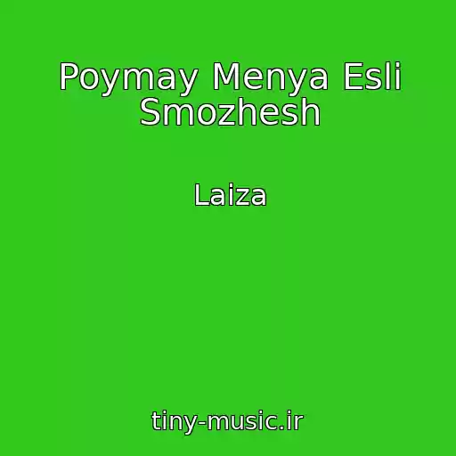 کاور آهنگ Poymay Menya Esli Smozhesh از Laiza