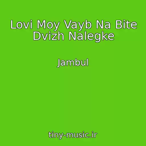 کاور آهنگ Lovi Moy Vayb Na Bite Dvizh Nalegke از Jambul
