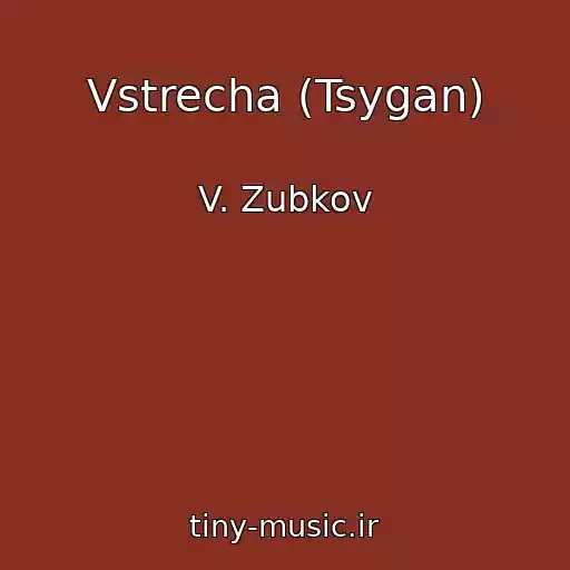 کاور آهنگ Vstrecha (Tsygan) از V. Zubkov