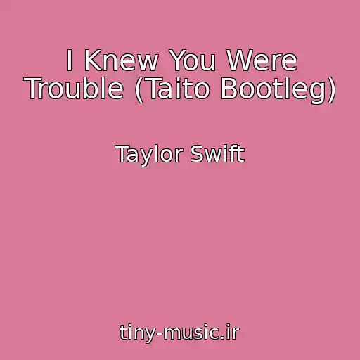 کاور آهنگ I Knew You Were Trouble (Taito Bootleg) از Taylor Swift