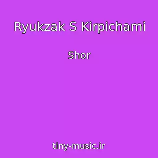 کاور آهنگ Ryukzak S Kirpichami از Shor