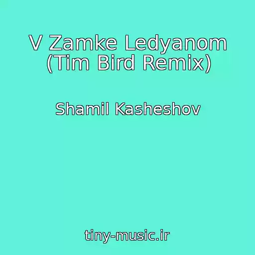 کاور آهنگ V Zamke Ledyanom (Tim Bird Remix) از Shamil Kasheshov
