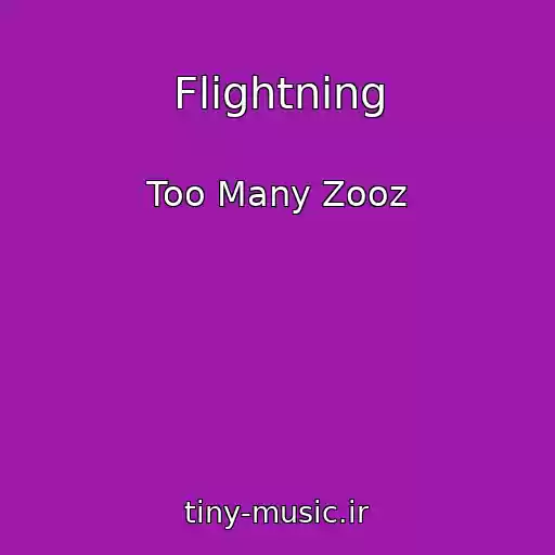کاور آهنگ Flightning از Too Many Zooz