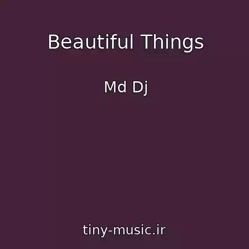 کاور آهنگ Beautiful Things از Md Dj