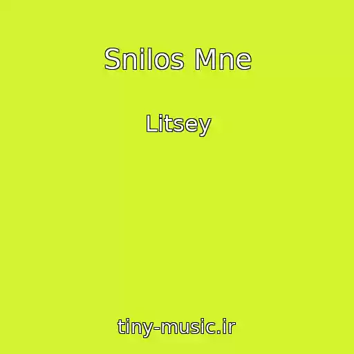 کاور آهنگ Snilos Mne از Litsey