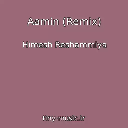 کاور آهنگ Aamin (Remix) از Himesh Reshammiya