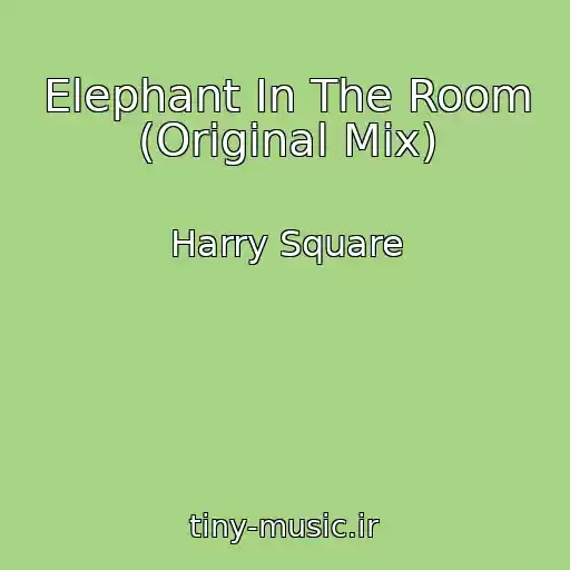 کاور آهنگ Elephant In The Room (Original Mix) از Harry Square