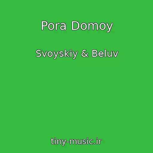 کاور آهنگ Pora Domoy از Svoyskiy & Beluv
