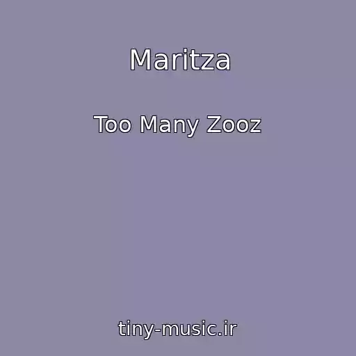 کاور آهنگ Maritza از Too Many Zooz