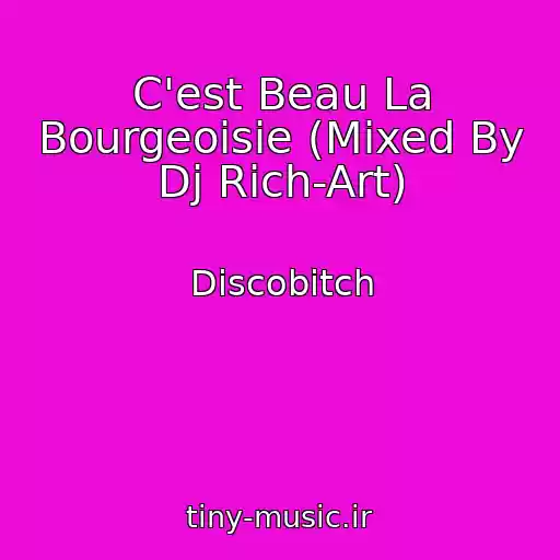 کاور آهنگ C'est Beau La Bourgeoisie (Mixed By Dj Rich-Art) از Discobitch