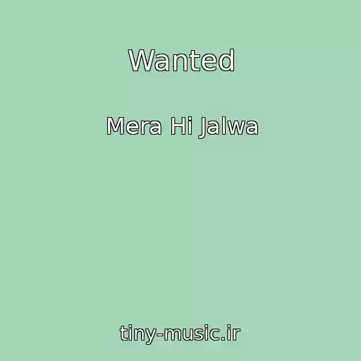کاور آهنگ Wanted از Mera Hi Jalwa