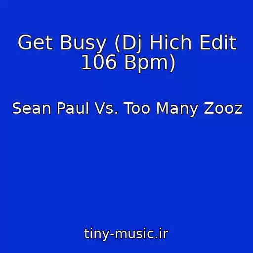 کاور آهنگ Get Busy (Dj Hich Edit 106 Bpm) از Sean Paul Vs. Too Many Zooz