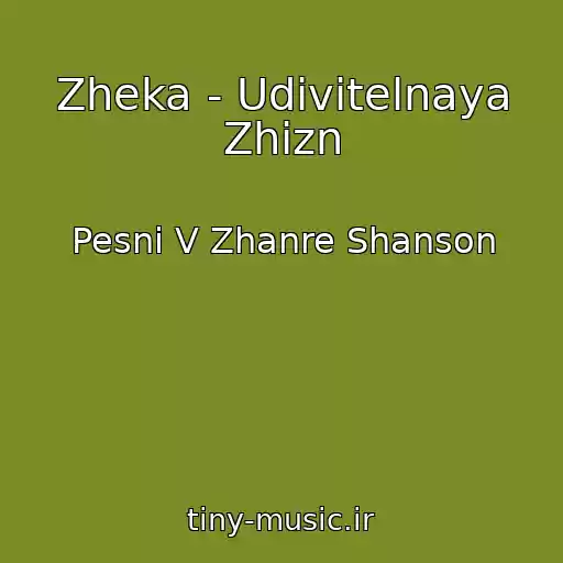 کاور آهنگ Zheka - Udivitelnaya Zhizn از Pesni V Zhanre Shanson
